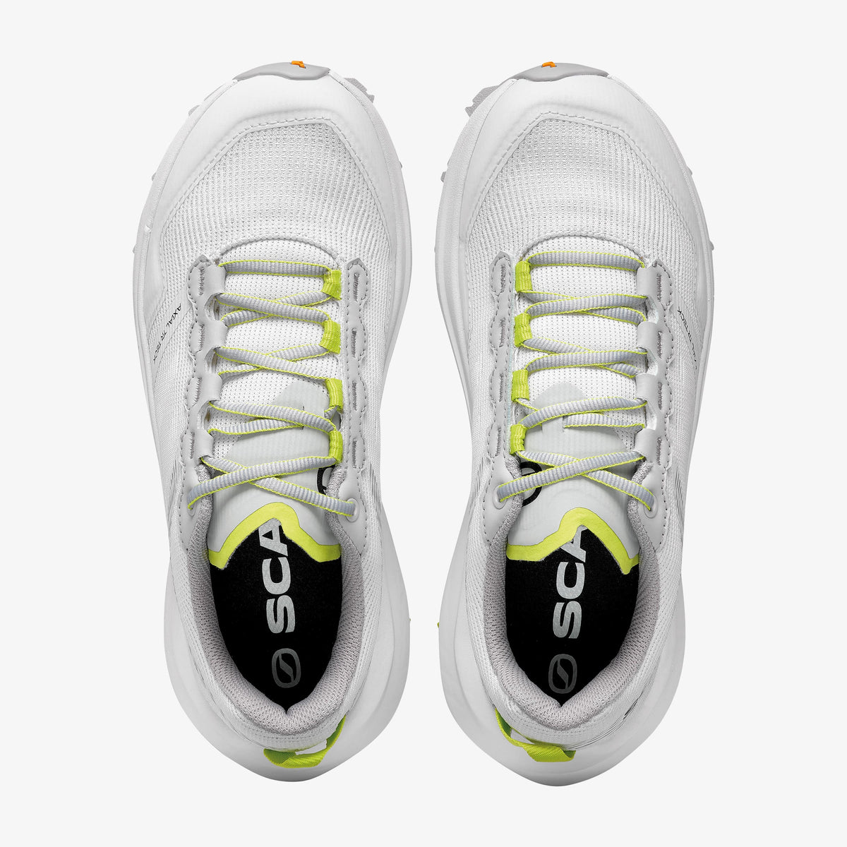 SP-Y: Kids - Scarpa