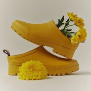 Women's Bodega Clog in Calendula rubber, pair with yellow flowers tucked inside on a tan background