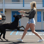 Women's Monterey Sneaker in Bleach canvas, worn with denim shorts by a person walking a dog in a parking lot