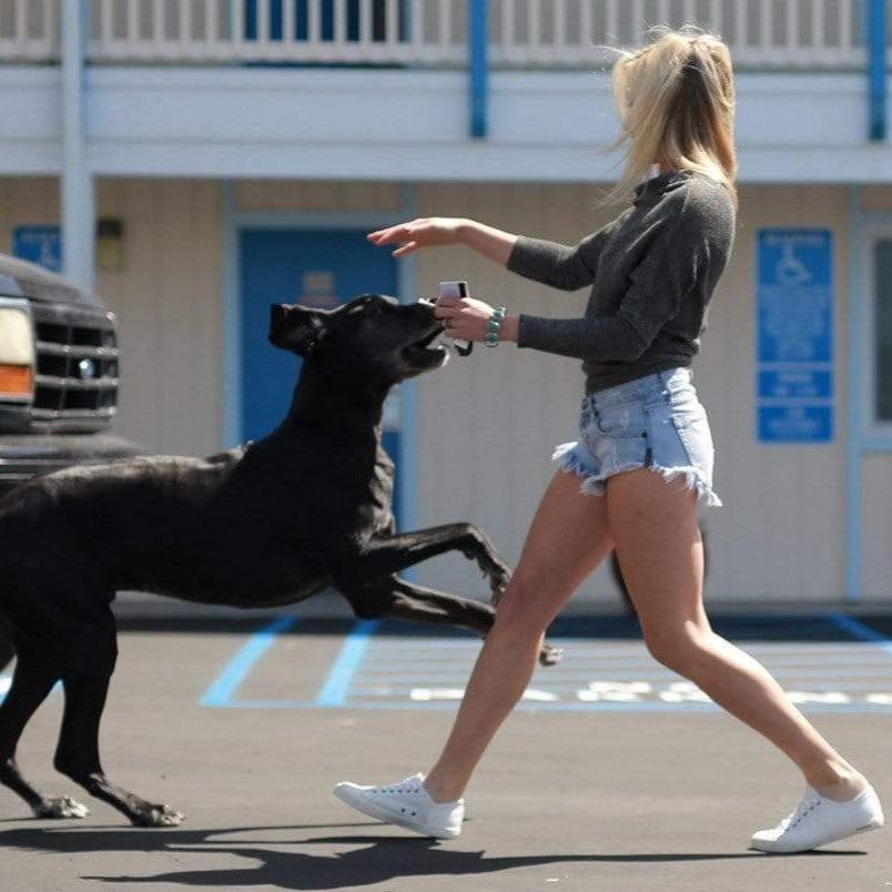 Women's Monterey Sneaker in Bleach canvas, worn with denim shorts by a person walking a dog in a parking lot