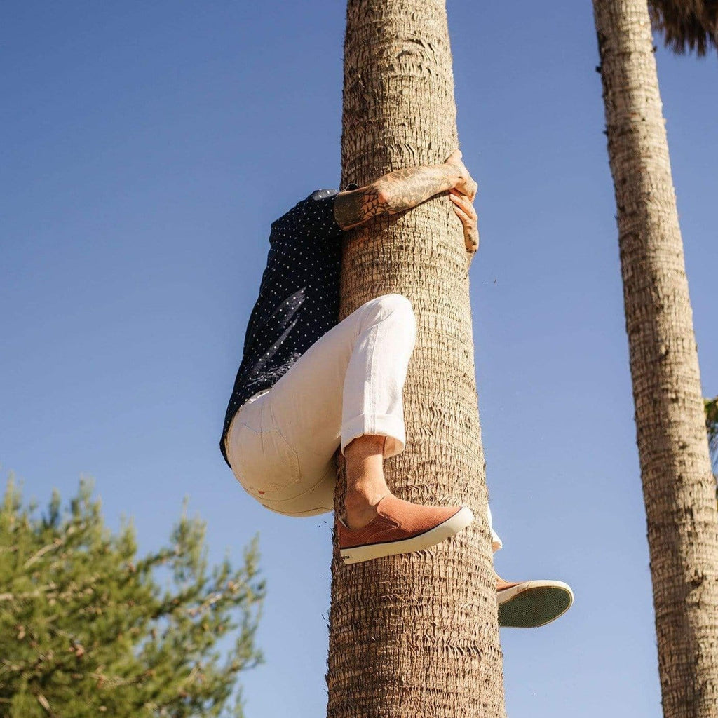 Men's Hawthorne Slip On in Terracotta suede, worn with cuffed white pants, climbing a palm tree